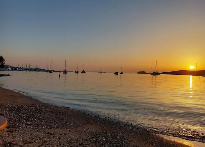 Stephany's Skyline פארוס